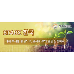 Starx 한국: 가치 투자를 중심으로, 경제적 부의 꿈을 실현하다